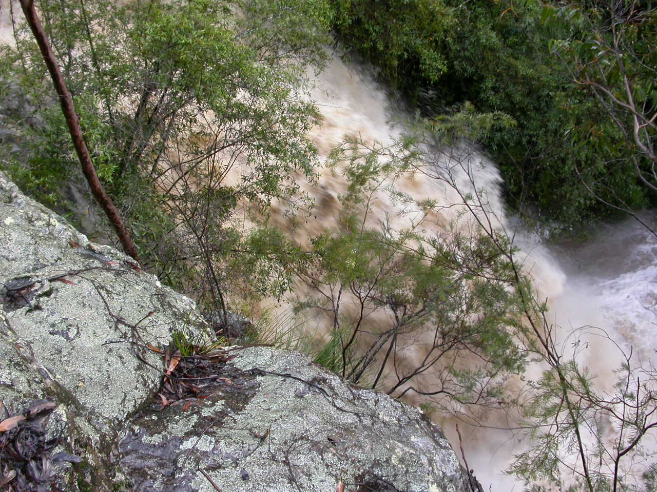 SCCLG  Media Release March 2016 Water Testing in Our Local Creeks