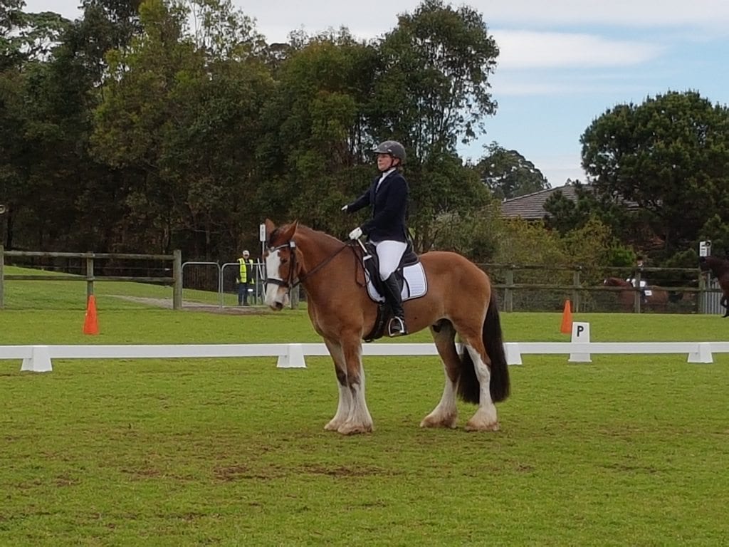 Jenny Banks and Hamish at the dressage competition