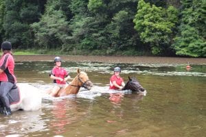 Bareback swimming at pony club camp