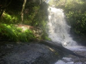 SCCLG Media Release February 2017 How important is our Water