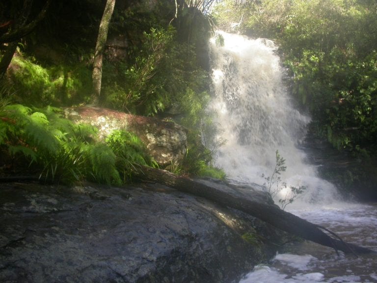 SCCLG Media Release February 2017 How important is our Water