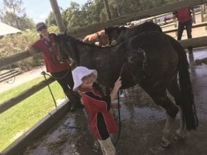 Sophie washing Jade…and the wash bay