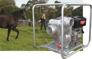 Josephine Robertson with her horse Gypsie, keeps her pastures green with Aussie’s transfer pump.