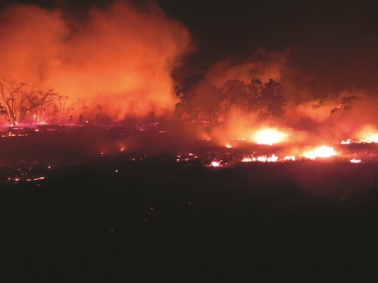 Image from the 2002 Fires in Glenorie