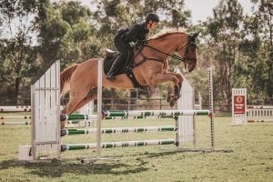 Enjoying the show jumping