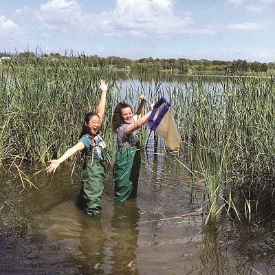 Hills Grammar Year 12 student, Claire Shi (foreground) collecting specimens from Lake Ginninderra