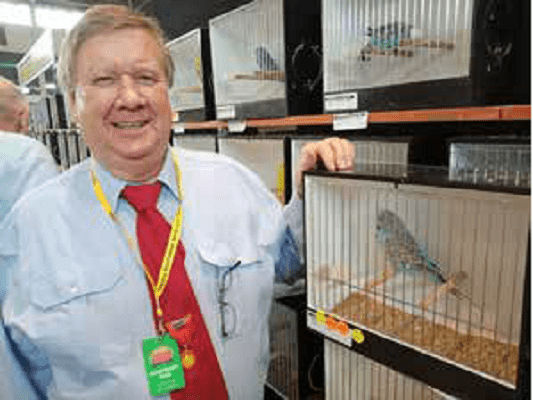 Reserve Grand Champion was a Cinnamonwing Light Green Cock bird also exhibited by Andre. Pic below is of Andre Ozoux with his bird.