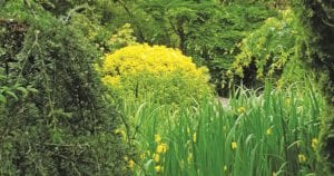 Garden Club