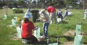 STILL CREEK LANDCARE