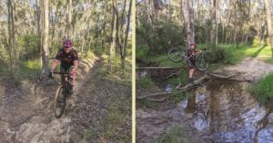 Avondale_trail and Longneck_creek