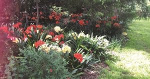 Galston District Garden Club