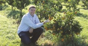 harvest season