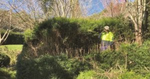 GALSTON GARDEN