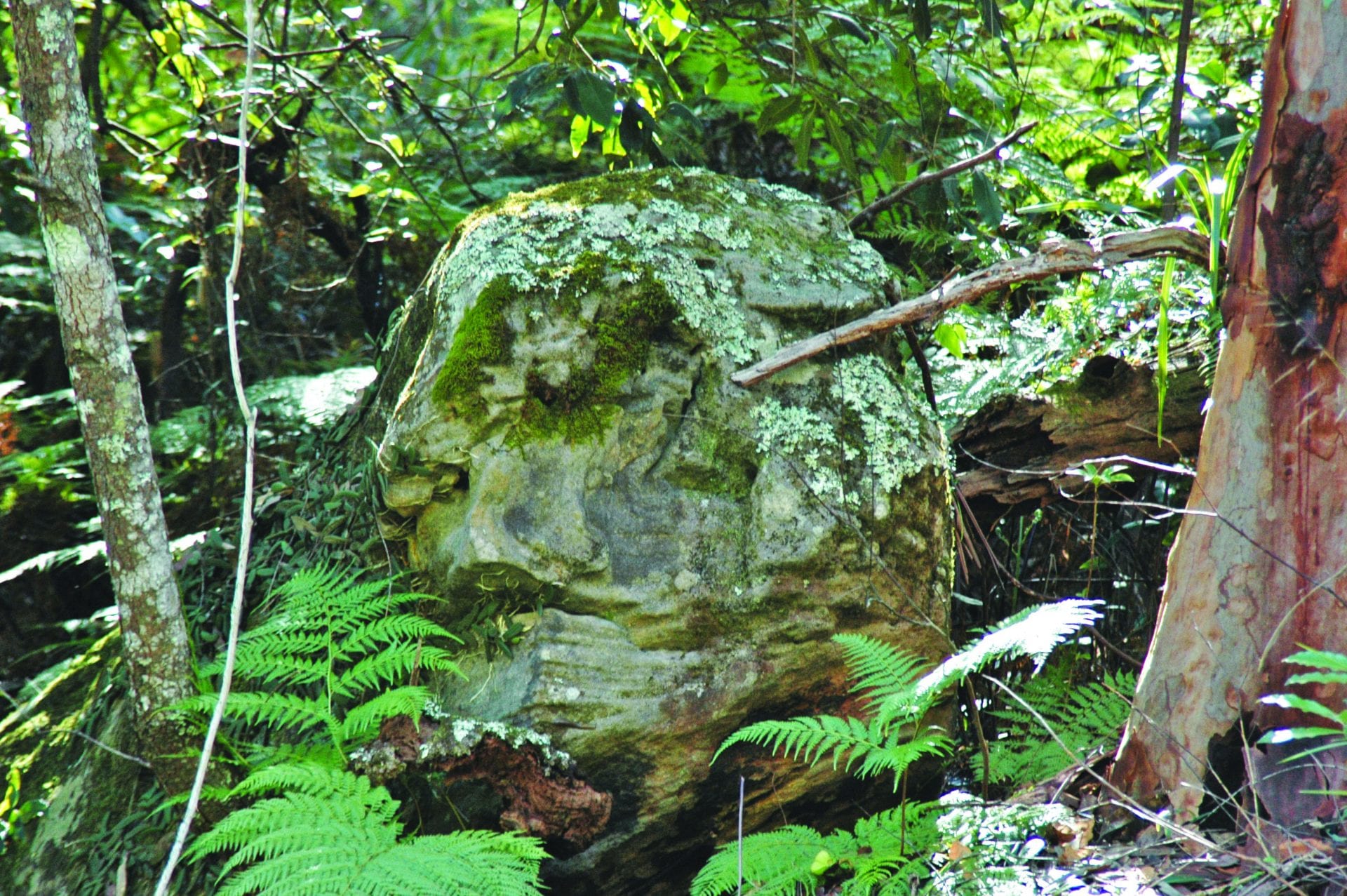 Hiderated Rocks Hidden In The Hills Rock Formations