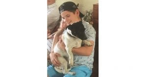 Dogs Tale