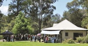 Pine Valley Studio