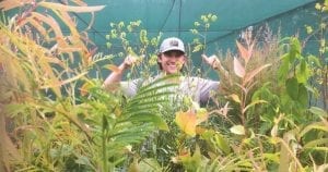 Weeds Program