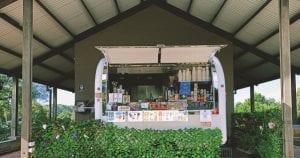 Pani Cafe