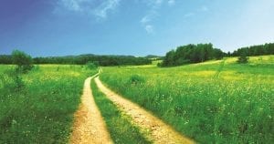 Purchasing Land