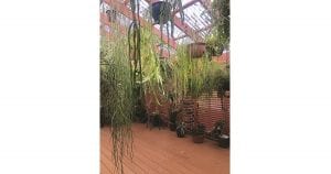 Garden Club