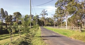 Trees Help Us