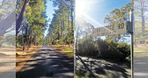 Sunnyridge Road