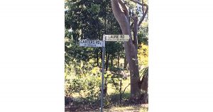 Laurie Road