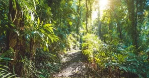 bushwalking.