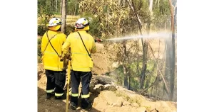 Glenorie RFS