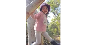 Still Creek Landcare