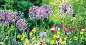 Galston District Garden Club