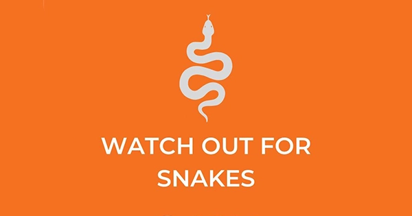 watch out for snakes