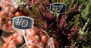 Hawkesbury Harvest Farmers