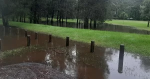 Crosslands Reserve