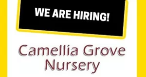 Local Job