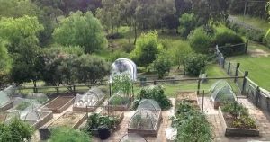 Sydney Edible Garden Trail