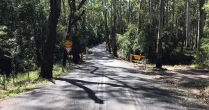 Blue Gum Road