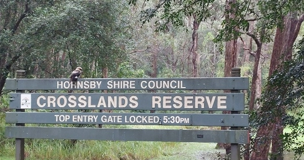 Crosslands Reserve
