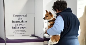 Federal Election 2022