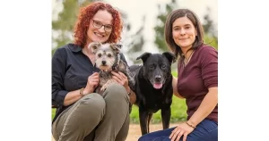 Dog Training
