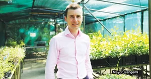Nursery Plants