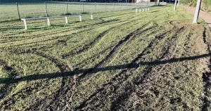 Sports Field