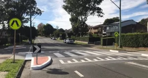 Wombat Crossing