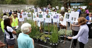 native plant giveaways