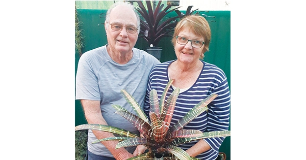 Bromeliad Society Of Australia