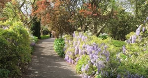 Hills Garden Competition