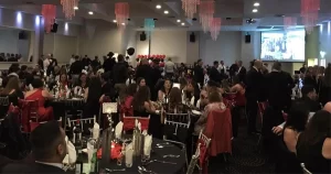 Red and Black Ball
