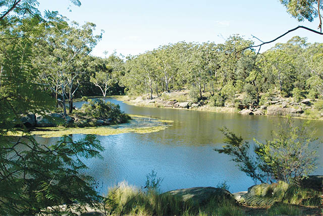 Lake Parramatta