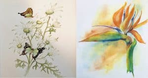 Castle Hill Art Society