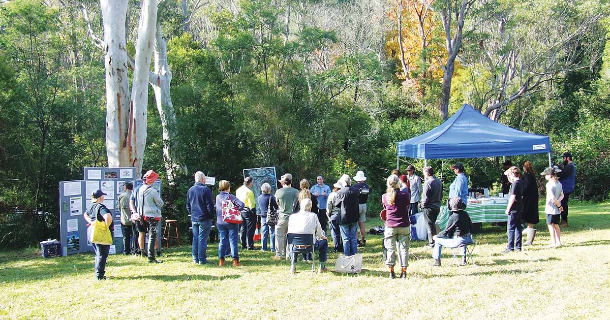 Colah Creek Platypus Q & A And Creekline Habit Planting Event